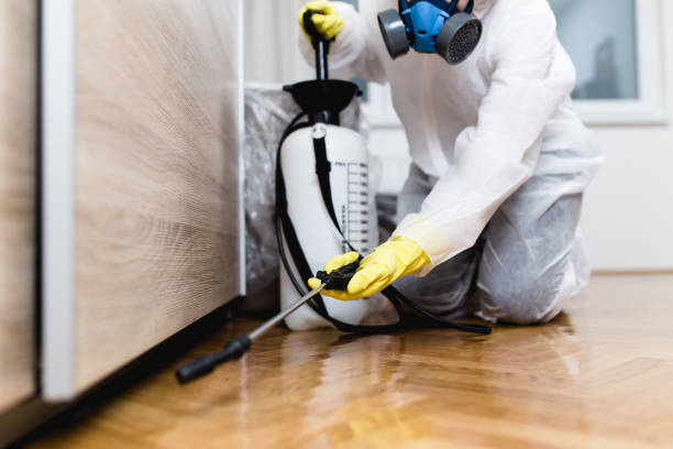 Best Best Pest Control Companies  in Rutledge, GA