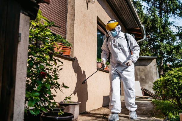 Best Rat Extermination Near Me  in Rutledge, GA