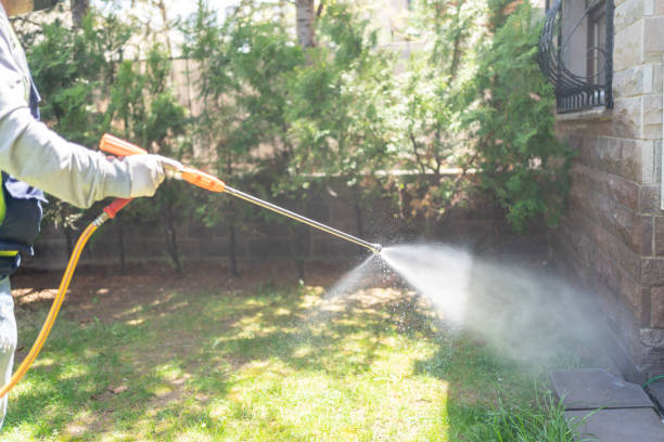 Best Pest Prevention Services  in Rutledge, GA