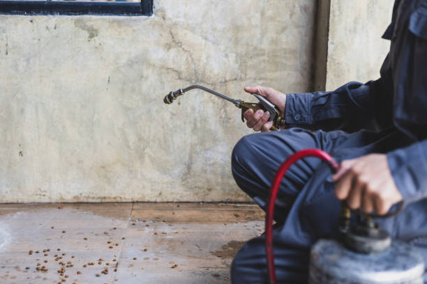 Best Commercial Pest Control Services  in Rutledge, GA